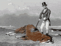 IMG_0761.gif