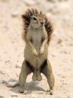 IMG_3084.jpeg