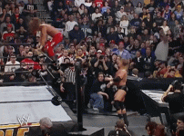 IMG_3281.gif