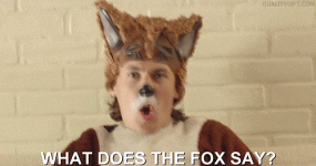 IMG_3329.gif