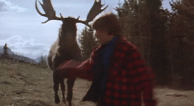 IMG_0773.gif