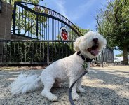 IMG_2639.jpeg
