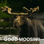 IMG_2085.gif IMG_2085.gif