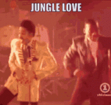 jungle-love-morris-day.gif